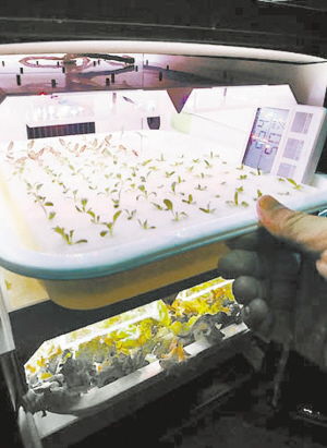 家庭植物工廠 網絡科技賦能現代農業新篇章