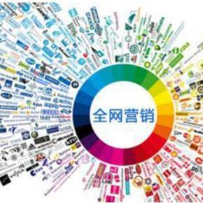 全網(wǎng)營銷寶典 驅(qū)動互聯(lián)網(wǎng)銷售的整合策略與實戰(zhàn)指南